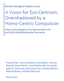 A Vision for Eco-Centrism; Overshadowed by a Homo-Centric Compulsion